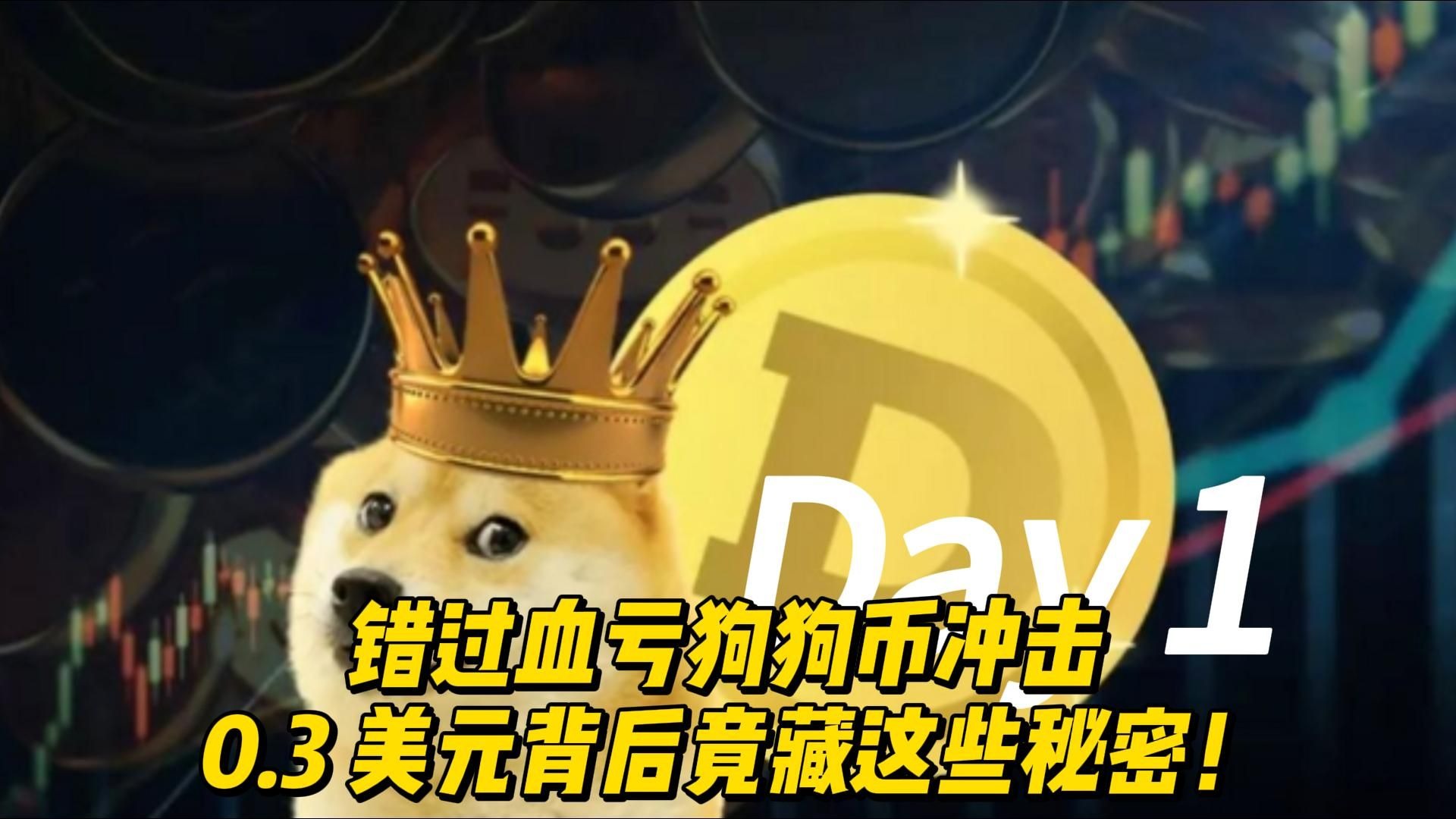 狗狗币投资骗局被揭发，已有超6.17人被骗！-九游网页版