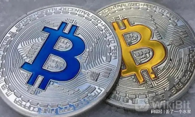 SHIB投资骗局被揭发，已有超SEC人被骗！